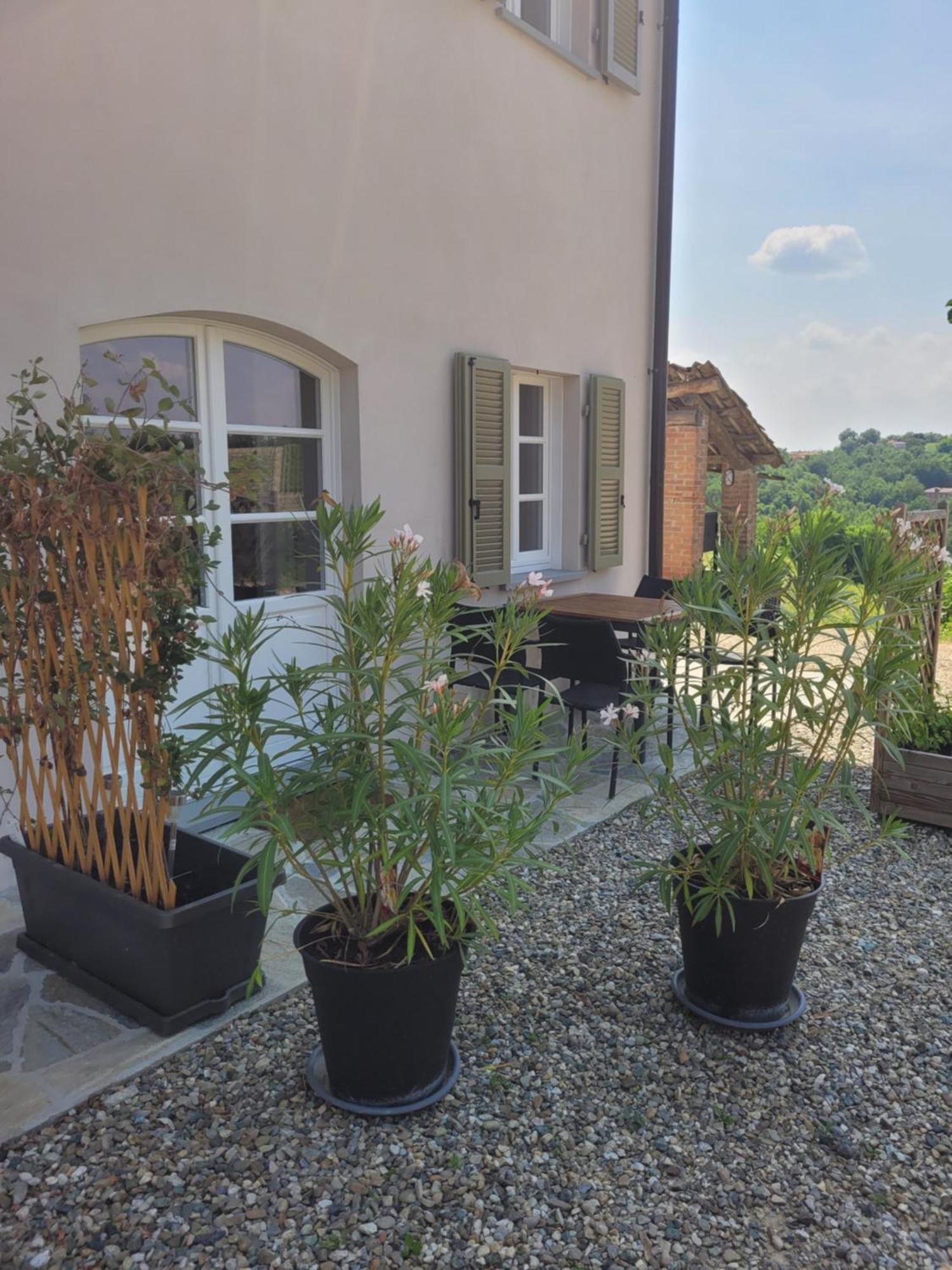 Cascina Allegria Castelnuovo  外观 照片